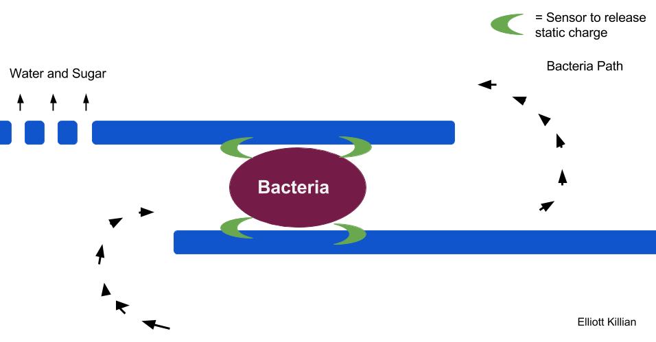 A membrane diagram to kill elm phloem necrosis or bacteria in a tree or suspended liquid. The bacteria flows through and next to two parallel lines, which show the membrane. Sensors are on the lines. When the sensors detect the bacteria electricity is released killing the bacteria. Water and sugar is free to flow through the membrane. Elm Yellows. Nano-electroporation.